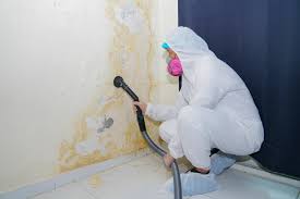 Forensic Mold Investigation in Silver Lake, OH